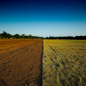 Site prep photo